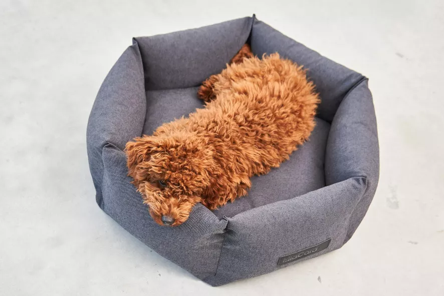 MiaCara Felice Hondenmand Ø60 Small Anthracite 3 MiaCara Felice Hondenmand Ø60 Small Anthracite - Afbeelding 3