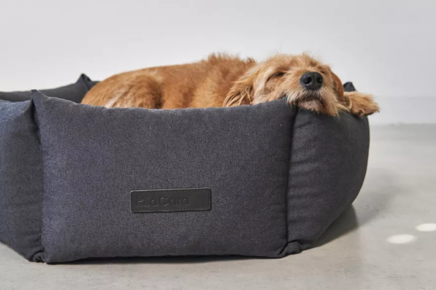 MiaCara Felice Hondenmand Ø60 Small Anthracite 4 MiaCara Felice Hondenmand Ø60 Small Anthracite - Afbeelding 4