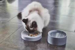 MiaCara Fresco Kattenvoerbak Nougat -Meubelwinkel x886x886 miacara fresco kattenvoerbak11.jpg.pagespeed.ic .bKzc2GDKN