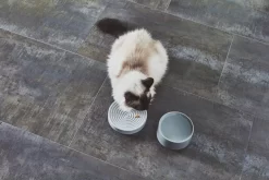 MiaCara Fresco Kattenvoerbak Nougat -Meubelwinkel x886x886 miacara fresco kattenvoerbak13.jpg.pagespeed.ic .YHFGgtlqrS