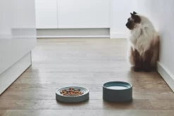 MiaCara Fresco Kattenvoerbak Nougat -Meubelwinkel x886x886 miacara fresco kattenvoerbak5.jpg.pagespeed.ic .nGAlJjMd e