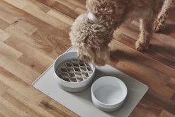 MiaCara Lento Hondenvoerbak Inzetstuk Small Greige 5 MiaCara Lento Hondenvoerbak Inzetstuk Small Greige -Meubelwinkel x886x886 miacara lento hondenvoerbak inzetstuk large2.jpg.pagespeed.ic .kl9hHNbIw3