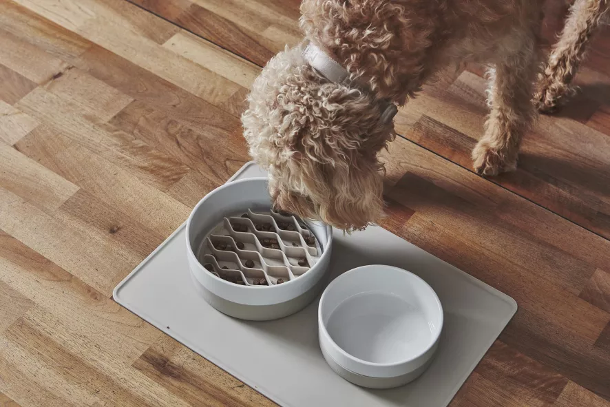 MiaCara Lento Hondenvoerbak Inzetstuk Small Greige 3 MiaCara Lento Hondenvoerbak Inzetstuk Small Greige - Afbeelding 3