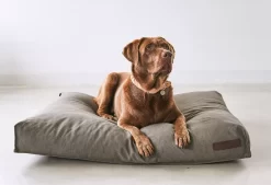 MiaCara Mare Hondenkussen Large Rock -Meubelwinkel x886x886 miacara mare hondenkussen large5.jpg.pagespeed.ic .oLIIJ gxo 2