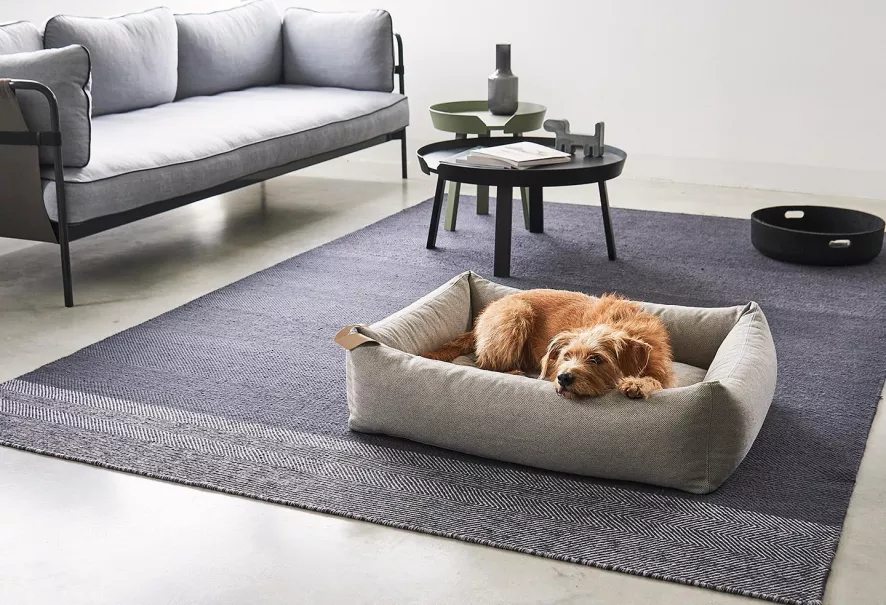 MiaCara Mare Hondenmand Large Kelp 4 MiaCara Mare Hondenmand Large Kelp - Afbeelding 4