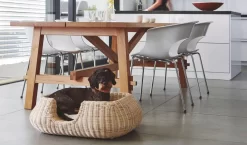 MiaCara Mio Hondenmand Medium Hemp -Meubelwinkel x886x886 miacara mio hondenmand medium6.jpg.pagespeed.ic .dhYDDV5s1G