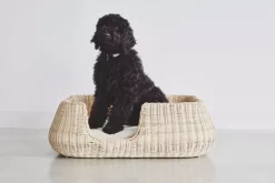 MiaCara Mio Hondenmand Medium Hemp -Meubelwinkel x886x886 miacara mio hondenmand medium9.jpg.pagespeed.ic .ep8YhtiyEp