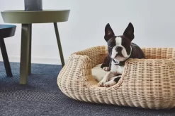 MiaCara Mio Hondenmand Small Hemp -Meubelwinkel x886x886 miacara mio hondenmand small4.jpg.pagespeed.ic .3aUbSdiIe6