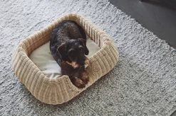 MiaCara Mio Hondenmand Small Hemp -Meubelwinkel x886x886 miacara mio hondenmand small8.jpg.pagespeed.ic .cuiQbLjkMo