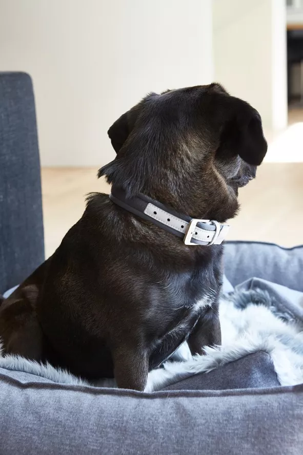 MiaCara Nube Hondenmand Large Tobacco 5 MiaCara Nube Hondenmand Large Tobacco - Afbeelding 5