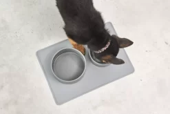 MiaCara Scodella Hondenvoerbak Small Graphite 10 MiaCara Scodella Hondenvoerbak Small Graphite -Meubelwinkel x886x886 miacara scodella hondenvoerbak large4.jpg.pagespeed.ic .PlhIR9G4N 1 1