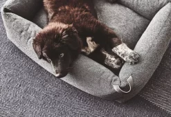 MiaCara Stella Hondenmand Small Mottled Slate 13 MiaCara Stella Hondenmand Small Mottled Slate -Meubelwinkel x886x886 miacara stella hondenmand small5.jpg.pagespeed.ic .qi04m r7Br 1