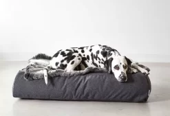 MiaCara Stella Lounge Hondenkussen Medium/large Mottled Slate -Meubelwinkel x886x886 miacara stella lounge hondenkussen small medium3.jpg.pagespeed.ic .AW2ThZ0X1l