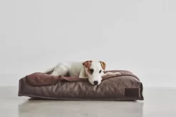 MiaCara Divo Hondenkussen Medium Pebble -Meubelwinkel x886x886 miacara unica hondenplaid large11.jpg.pagespeed.ic .q52raqSVTu