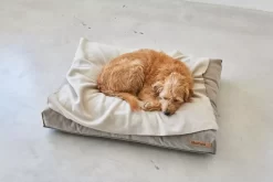 MiaCara Velluto Hondenkussen Small Sage -Meubelwinkel x886x886 miacara velluto hondenkussen large7.jpg.pagespeed.ic .j82ewdixs9