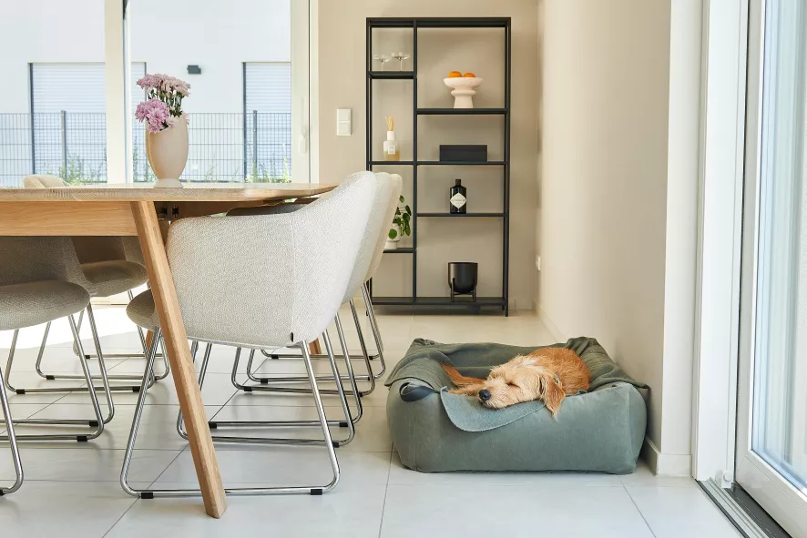 MiaCara Velluto Hondenmand Large Sage 5 MiaCara Velluto Hondenmand Large Sage - Afbeelding 5