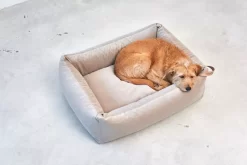 MiaCara Velluto Hondenmand Small Greige 16 MiaCara Velluto Hondenmand Small Greige -Meubelwinkel x886x886 miacara velluto hondenmand large9.jpg.pagespeed.ic .IA9vkAoJ5d 1