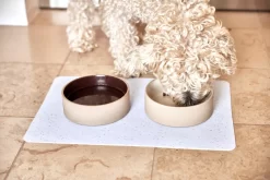 OYOY Sia Hondenvoerbak Small Ø13 Choko 8 OYOY Sia Hondenvoerbak Small Ø13 Choko -Meubelwinkel x886x886 oyoy sia hondenvoerbak small 132.jpg.pagespeed.ic .dq2GKKxR6A