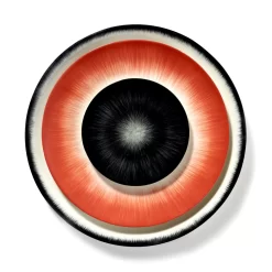 Serax Dé Tableware By Ann Demeulemeester Dinerbord Ø24 White/black 3 -Meubelwinkel x886x886 serax d tableware by ann demeulemeester ontbijtbord 17 524.jpg.pagespeed.ic .HAU KIXk2V