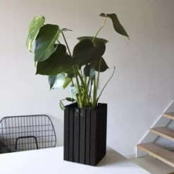 Squarely Copenhagen GrowSmall Plantenbak Incl Waterreservoir 14x14 Zwart Essen -Meubelwinkel x886x886 squarely growsmall plantenbak incl waterreservoir 14x14.JPG.pagespeed.ic .i4rODEnjmx