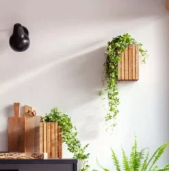 Squarely Copenhagen GrowSmall Plantenbak Incl Waterreservoir 14x14 Zwart Essen -Meubelwinkel x886x886 squarely growsmall plantenbak incl waterreservoir 14x143.JPG.pagespeed.ic .Qukabl5 nH