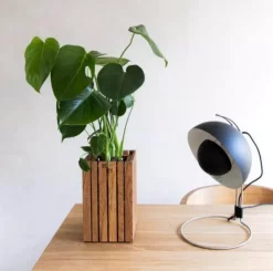 Squarely Copenhagen GrowSmall Plantenbak Incl Waterreservoir 14x14 Zwart Essen -Meubelwinkel x886x886 squarely growsmall plantenbak incl waterreservoir 14x145.JPG.pagespeed.ic .gZauoC5ZJ6