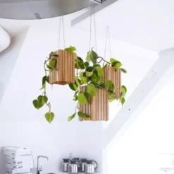 Squarely Copenhagen GrowSmall Plantenbak Incl Waterreservoir 14x14 Zwart Essen -Meubelwinkel x886x886 squarely growsmall plantenbak incl waterreservoir 14x146.JPG.pagespeed.ic .3uRGBM Gkb