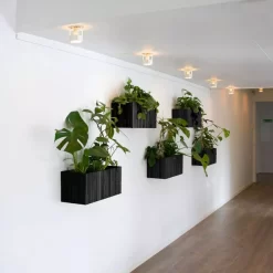 Squarely Copenhagen GrowWIDE Balkon Plantenbak, Black Ash, Bruin Leer 48cm -Meubelwinkel x886x886 squarely growwide balkon plantenbak incl reservoir 60x22 black ash6.jpg.pagespeed.ic .tWOYJZWhDL