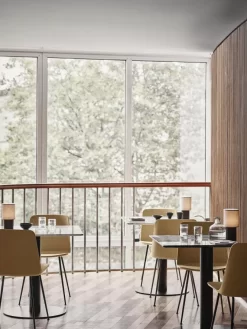 &tradition Rely HW6 Stoel Lichtblauw, Zwart Onderstel -Meubelwinkel x886x886 tradition rely hw6 stoel bronzed onderstel11.jpg.pagespeed.ic .UH43px9 oX